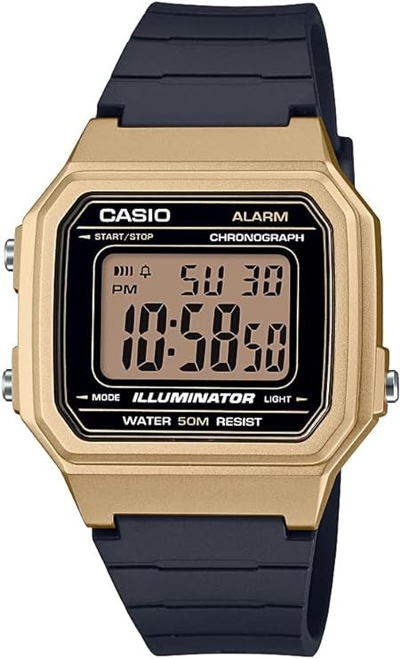 Casio Classic